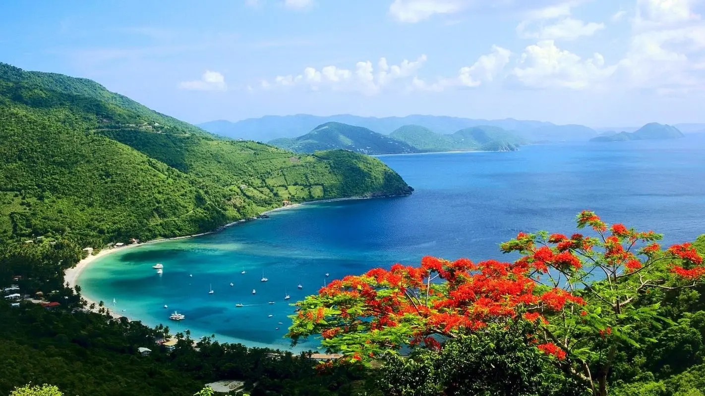 科技信息化高效